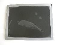 TM057KDH01-00 TIANMA 5.7 इंच 320 (RGB) × 240 400cd / m² औद्योगिक एलसीडी डिस्प्ले