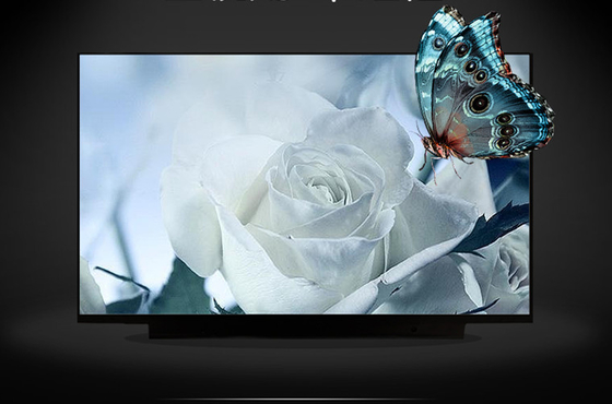 B133HAK02.2 AUO 13.3&quot; 1920 ((RGB) × 1080, 300 cd/m2 औद्योगिक एलसीडी डिस्प्ले