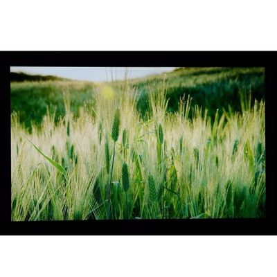 10.1" एलसीएम 1024×600RGB  350cd/m 350 LQ101W3LG01 शार्प TFT LCD डिस्प्ले