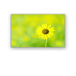 4.0 &quot;320×240 4700cd/M2 औद्योगिक एलसीडी डिस्प्ले HSD040I3N1-B00 HannStar